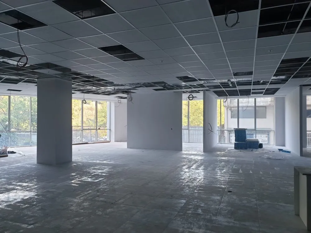Suspended Ceiling Systems